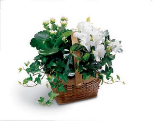 White Assortment Basket from Visser's Florist and Greenhouses in Anaheim, CA